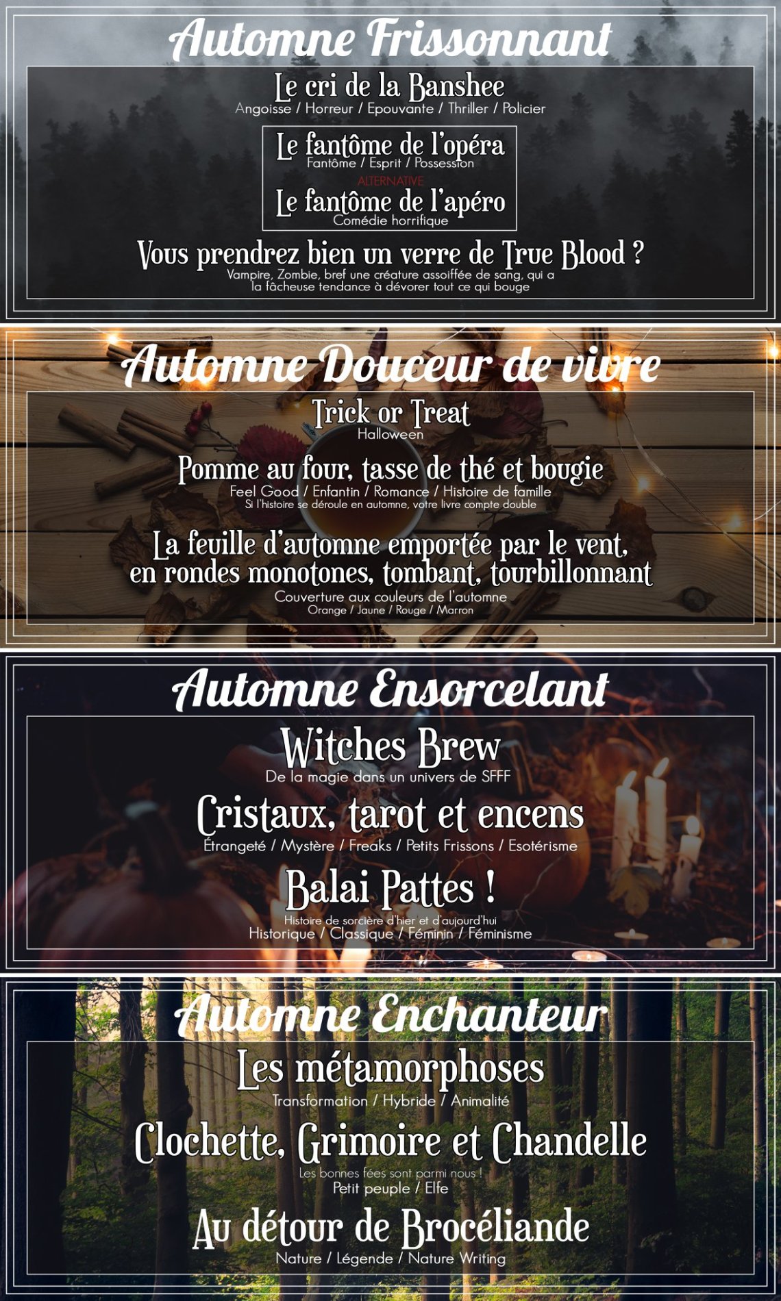 40072665_522501421526648_2947265562775912448_o